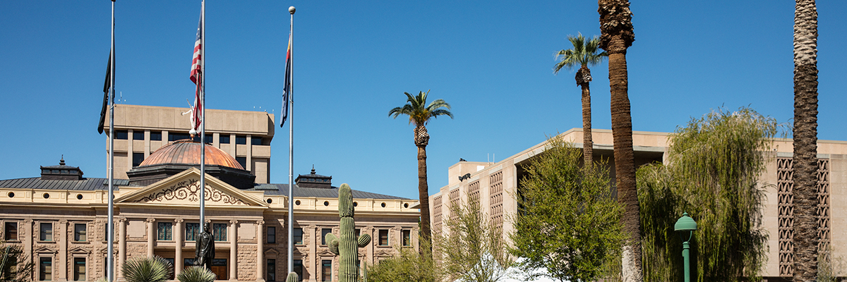 The Arizona Constitution Project